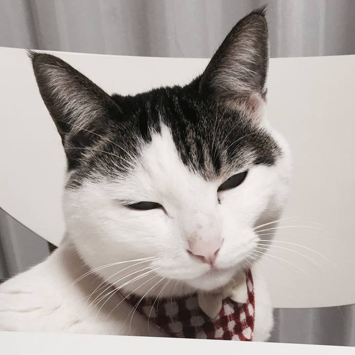 0f63a47f e557 4cd3 9996 0bed6552c6a4