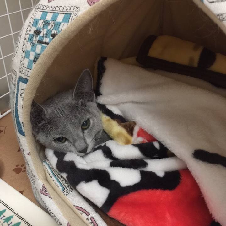 0f63b0ce b984 4770 b71f 24a9c4efcd32