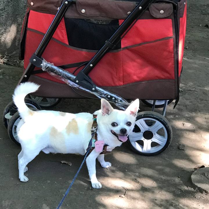 0f63d3e5 46c2 4cb0 9fe9 5a5d3a1485d9