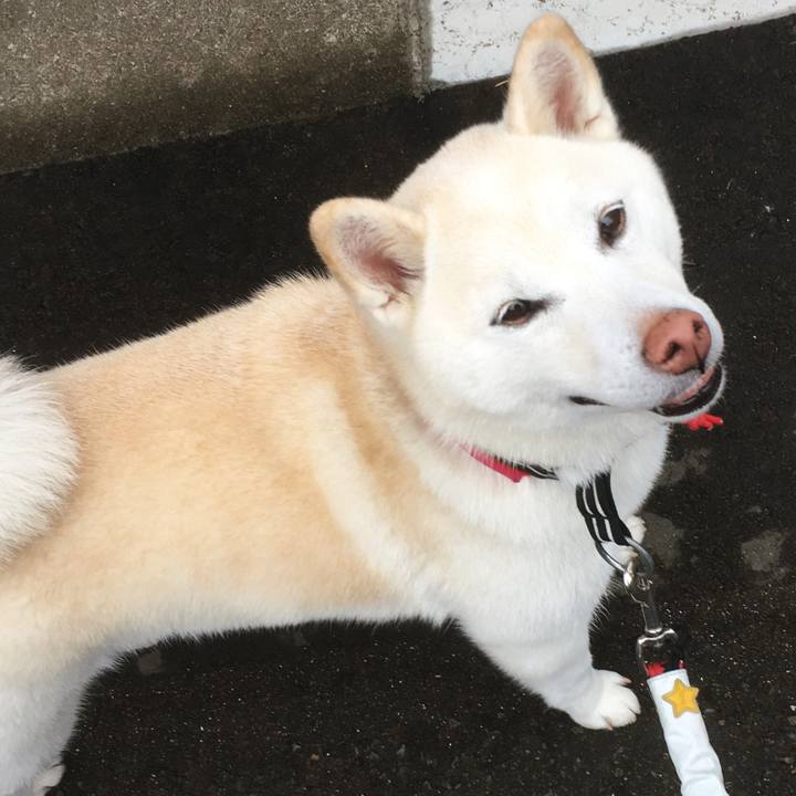 0f63e7ef 5146 4b02 9fa2 6544af7a30fd