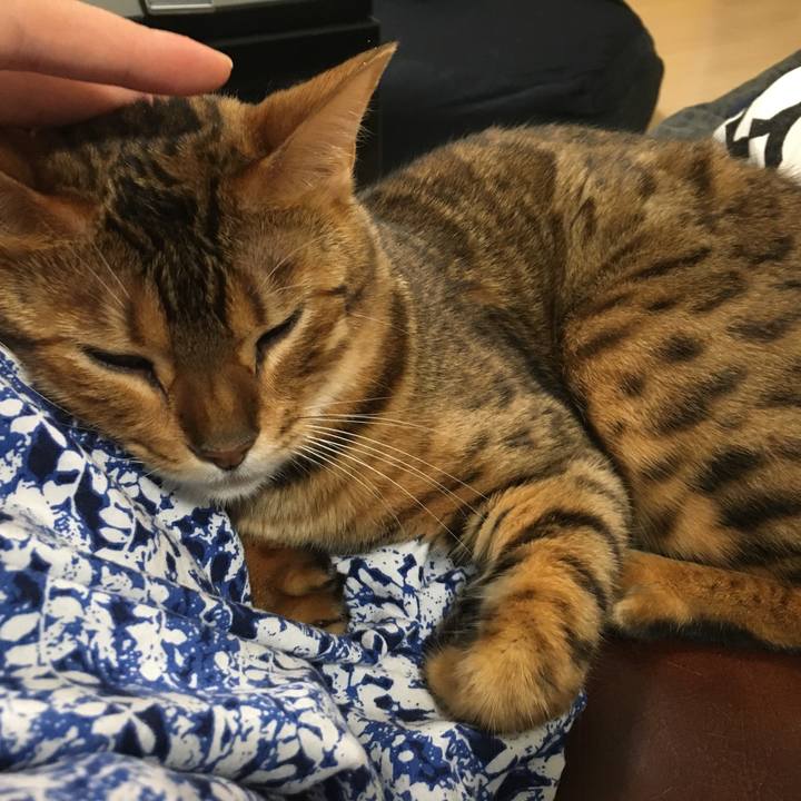 0f64110c 2ada 4c67 ab83 718a543aa265