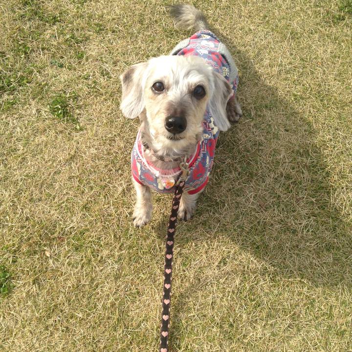 0f6439fe e461 46d4 987e 4b75785c67fa