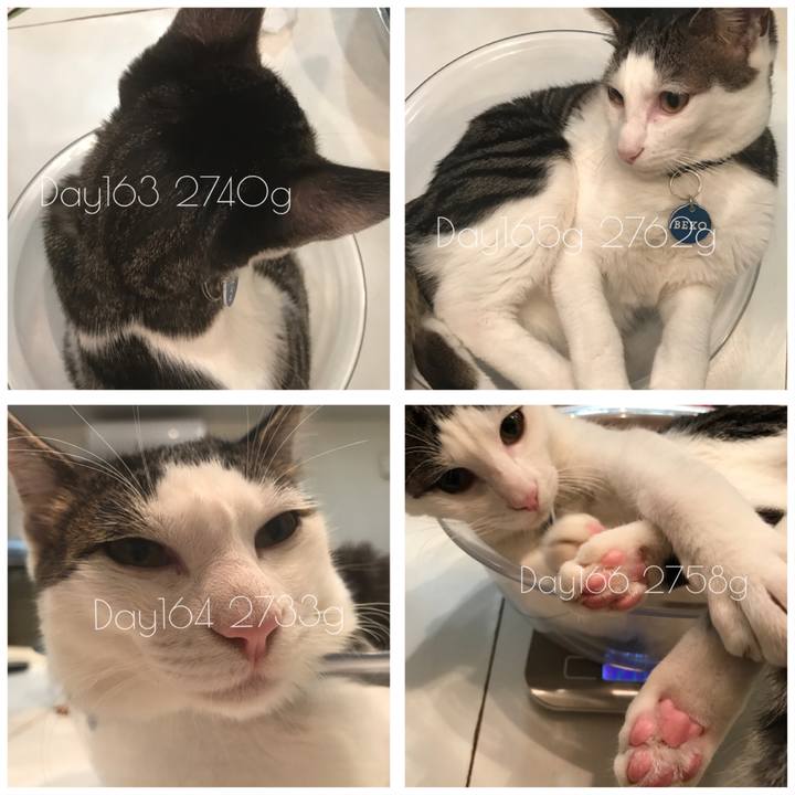 0f65ba6c 125f 4f4b a5a2 af66940d5a38