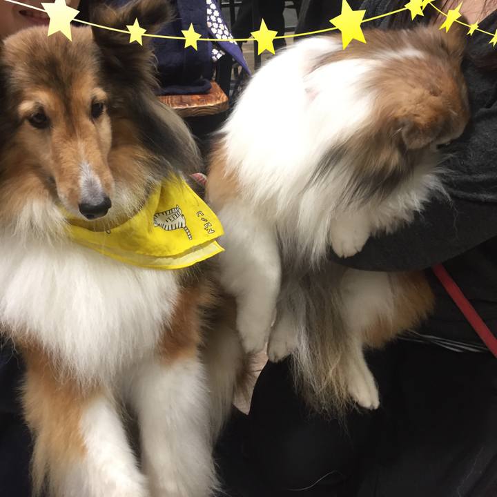 0f65c45c 722d 4cfb b4f1 5cbc0ac6de78