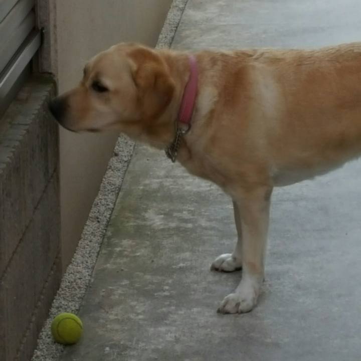 0f65ca52 a67e 4473 8fe9 8f0ceca7106d