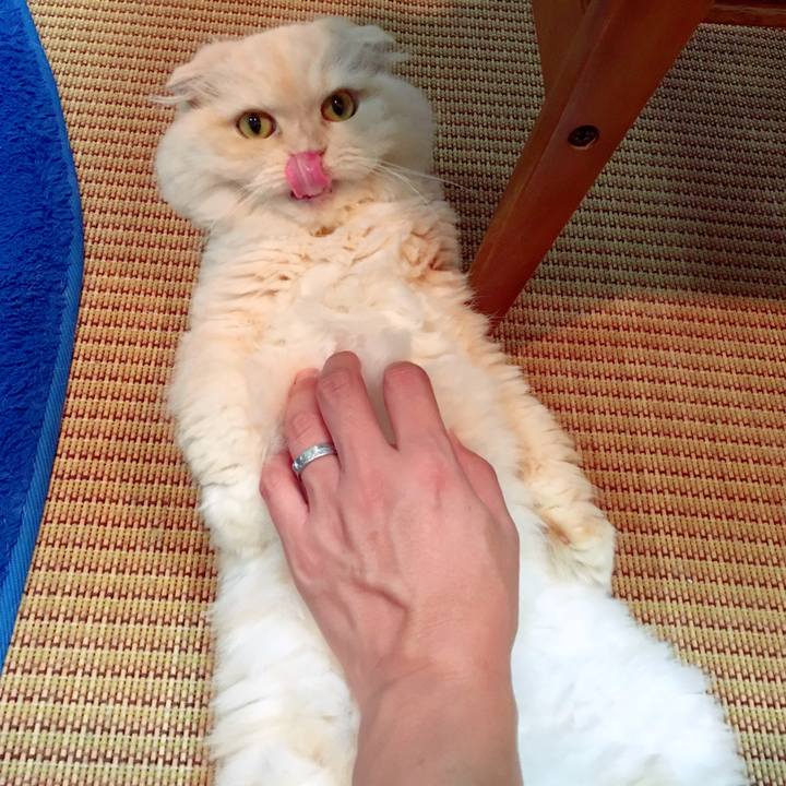 0f65db7e 3731 4b98 9659 57504fea0852