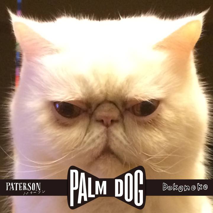 0f65e9be 5d8e 4e4d aade ec8bf6743b26