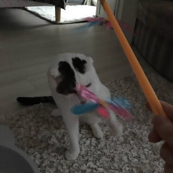 0f66354a d6aa 4c6d 9a17 5923597e2d63