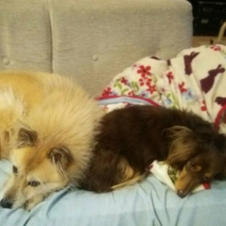 0f677c5a 5a7d 4247 aae7 53e84ed9f4ce