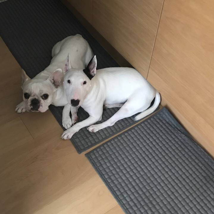 0f67c253 eb36 4e30 83ea e966adb00013