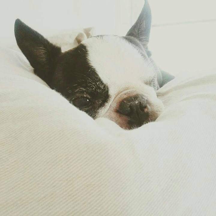 0f6902e5 87b2 458f 861e d0663b0ad068