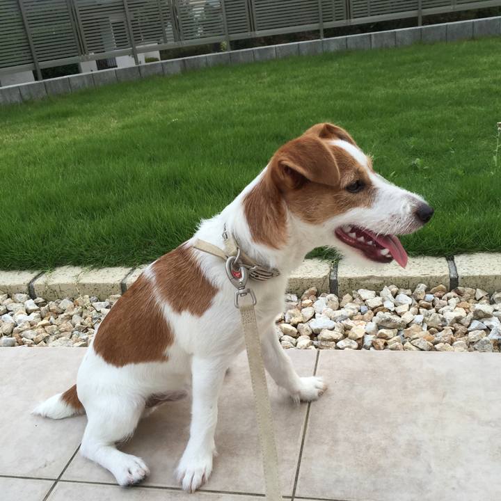 0f691bca 6db6 4f57 ac01 b40ab33bc88d