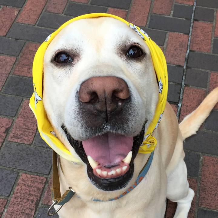 0f6958ba 92b5 4633 b56a be4eac5064cb