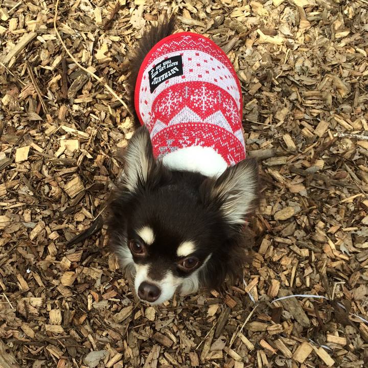 0f69cdd6 f74d 487a b16a ffc8126938ea