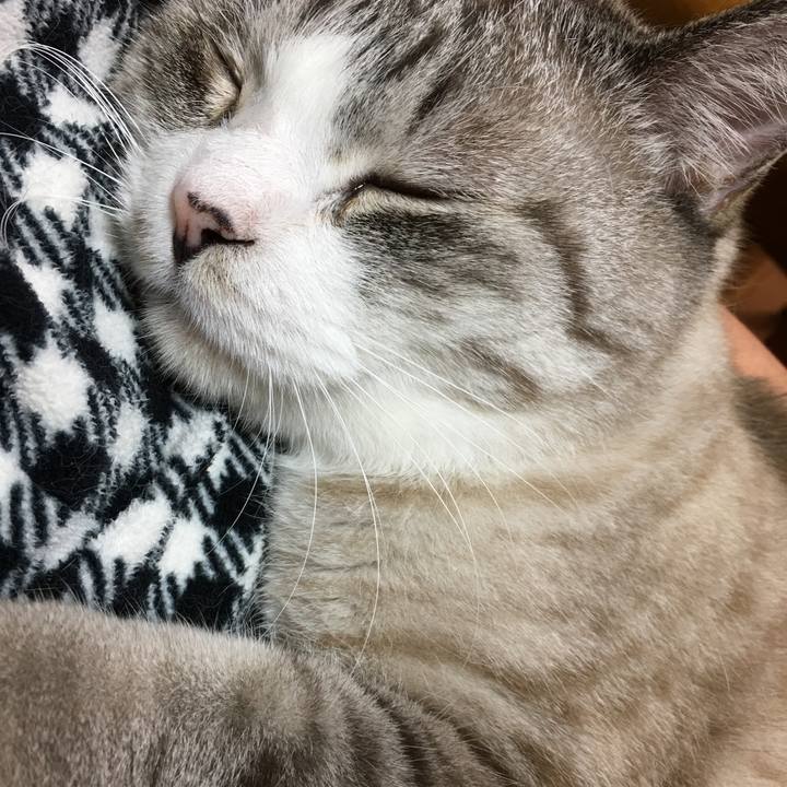 0f6b3362 a65a 4cf5 9fb8 10937940a36a