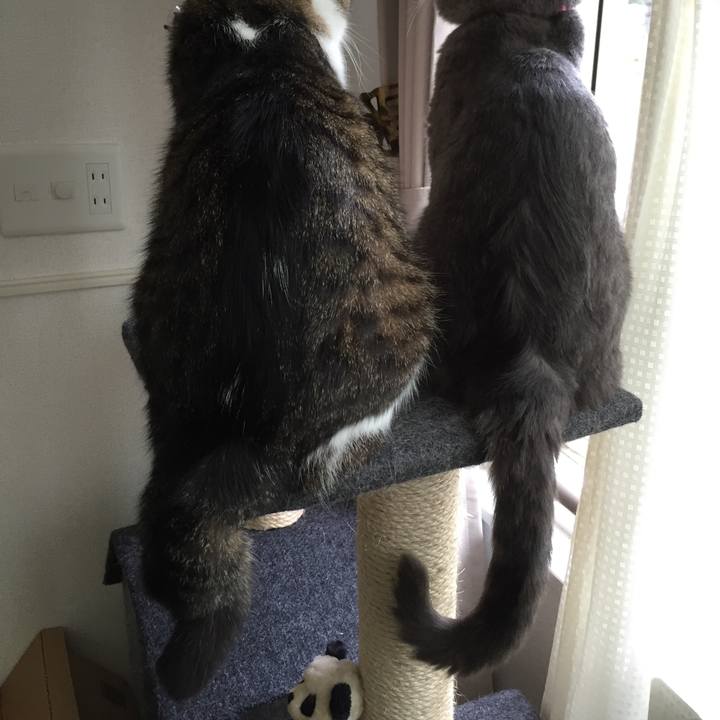 0f6b5007 6fc5 4f7a b7ed 1d9867f4367e