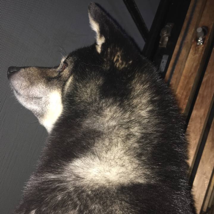 0f6b8847 5450 4b53 b82a 3a100c86948e