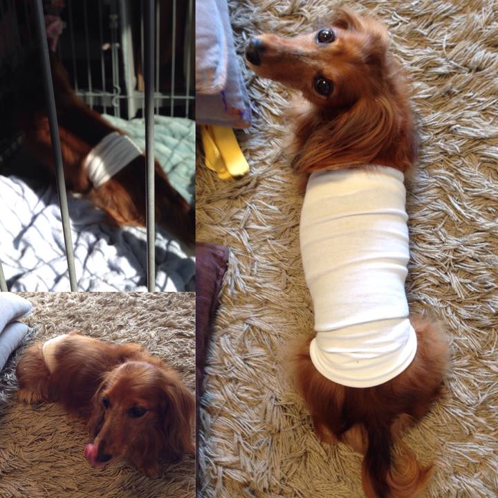 0f6bb8c2 f257 45f7 b376 9b0dda54e261