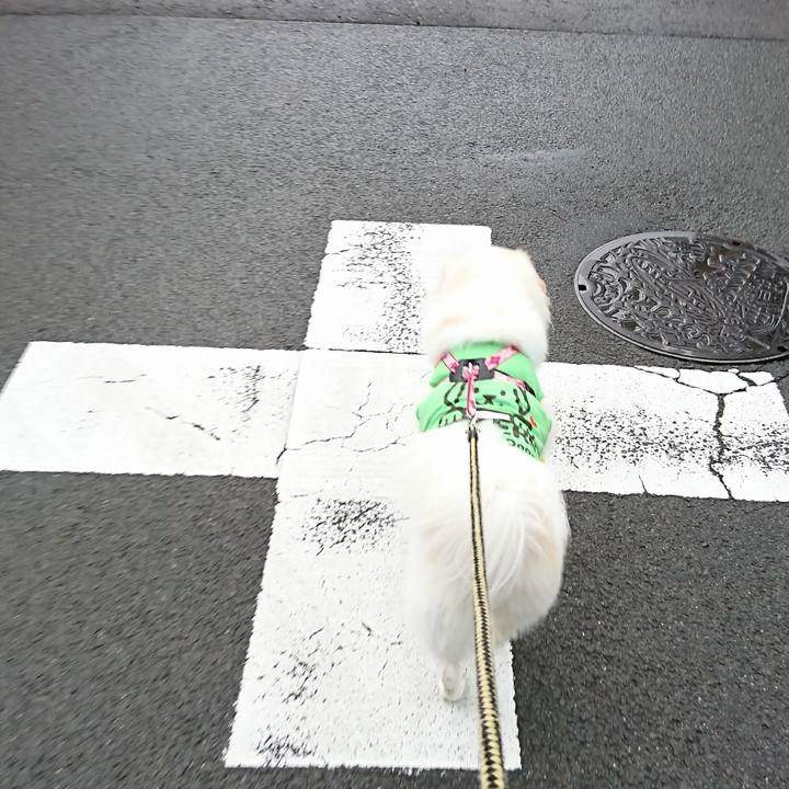 0f6c07d9 54b9 40d2 b281 ed4b920506d8