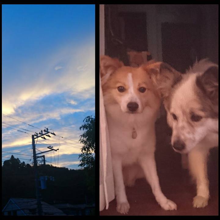 0f6c42fe a97e 4cd7 9b1a c3bb80d52e02