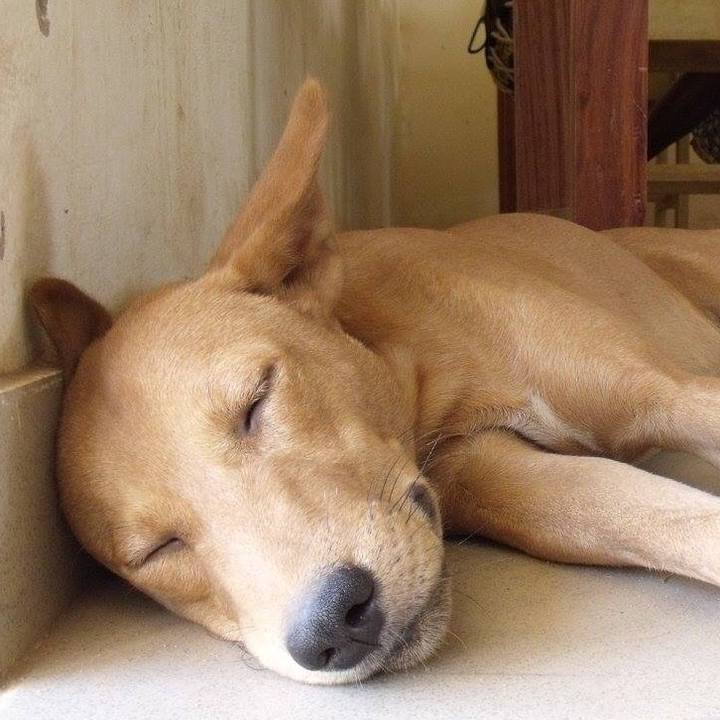 0f6ce4ba b86c 4d25 9daa 5ebd2674829d