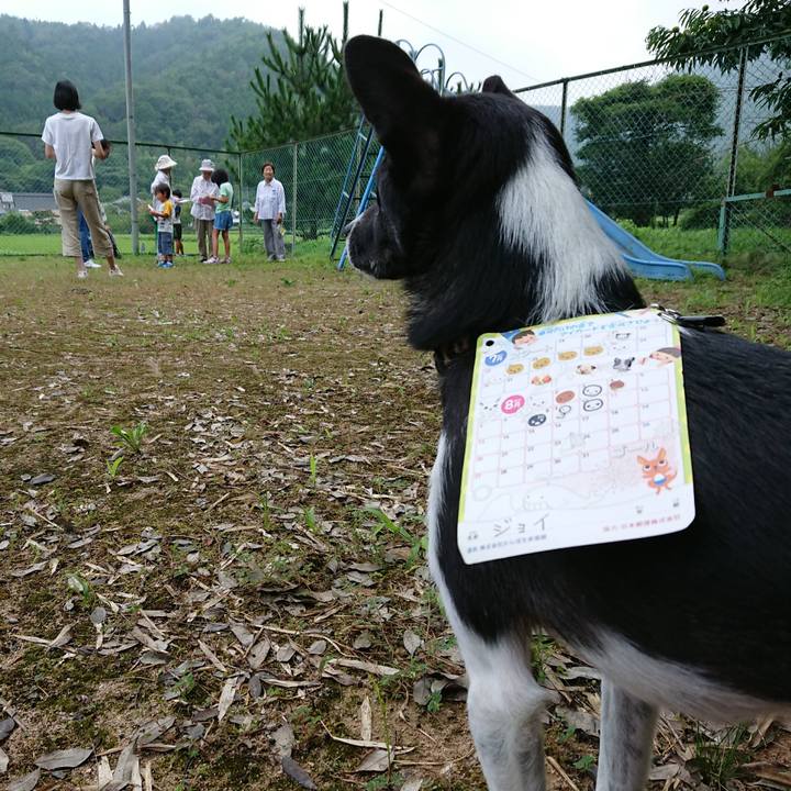 0f6e124a db55 4c84 b5f9 2dac05ea5aa8