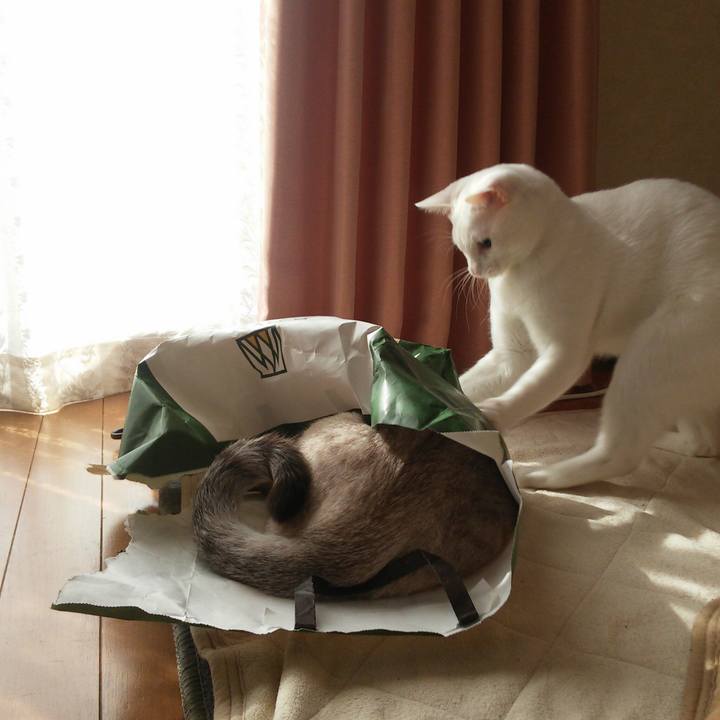 0f6e24a2 b2d1 4eb9 8502 b5550f9e0219