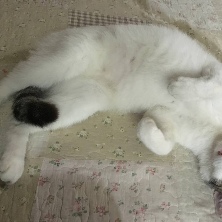 0f6e929c ecaf 45d4 bb4a fe8a992aab67