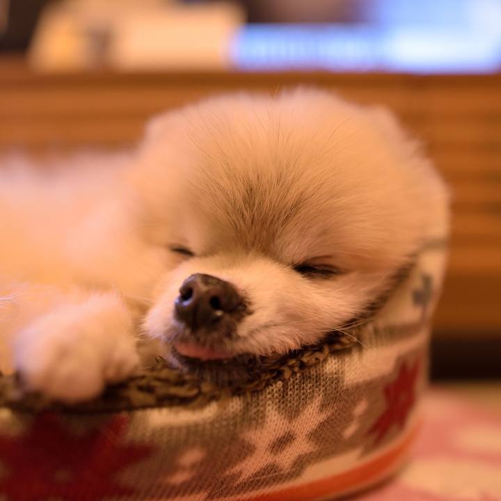 0f6f1891 9c28 4f1e b701 3697b7a57d5f