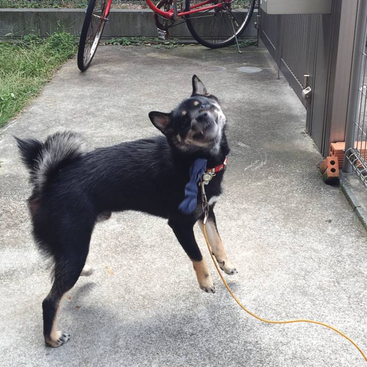 0f6f7fde 44bc 4f01 8209 39228a1b6594