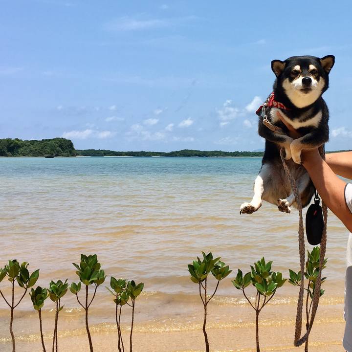 0f6f9a67 a794 404f b064 83c4d54ddb2a