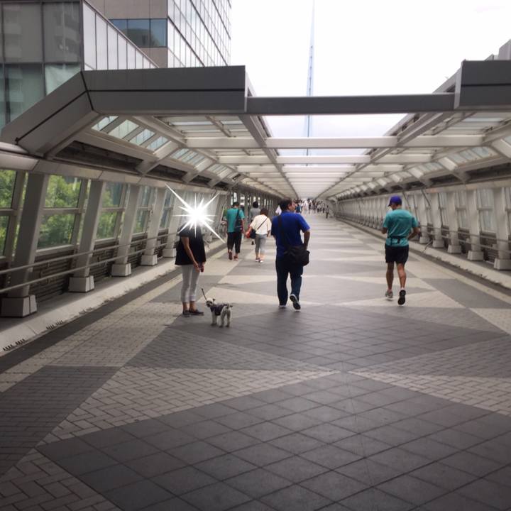 0f6fbc55 8eb1 4ea6 8dc9 a4b1693d1bf9