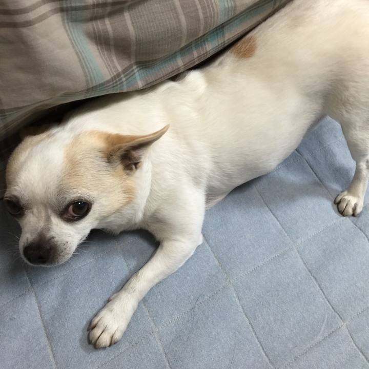 0f7085f7 9cf4 401c acb4 427736eeaf40