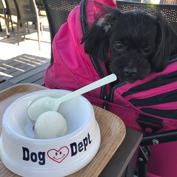 0f70cd5a 7e22 48fe beea 74f6064a9f66