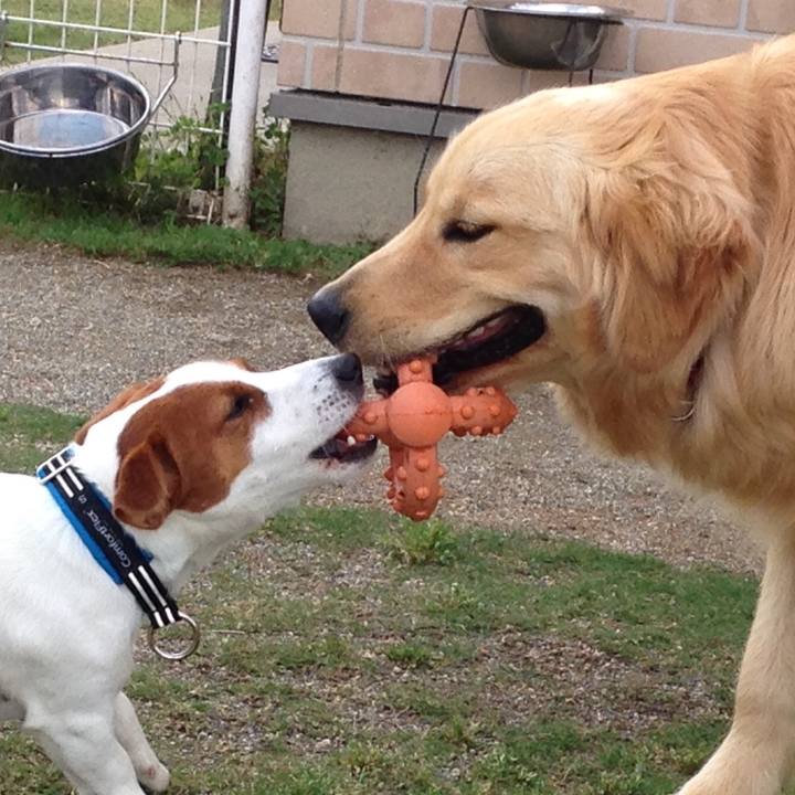 0f716d90 0f64 495d bafe 2aa5199d143c