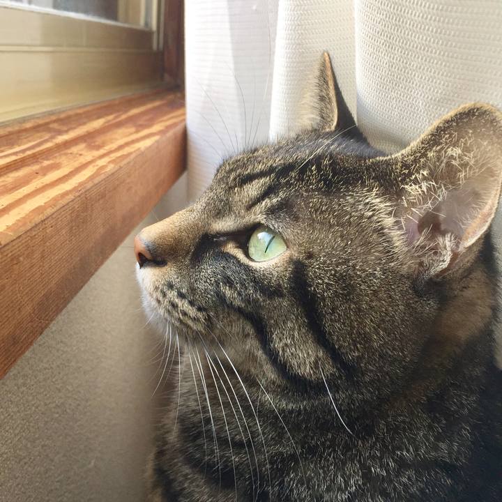 0f720007 09bd 4b84 9d5e 0dc8b7169c62