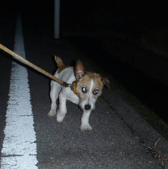 0f725fe0 6b31 434d bf86 b6f6e73d1753