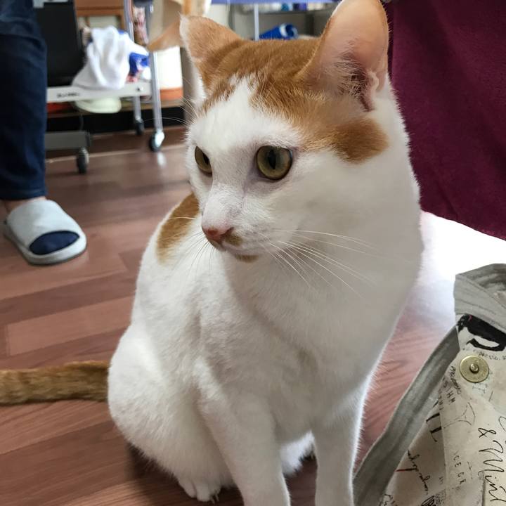 0f7346a2 5ebc 4c46 869e 65674cf2dd3e