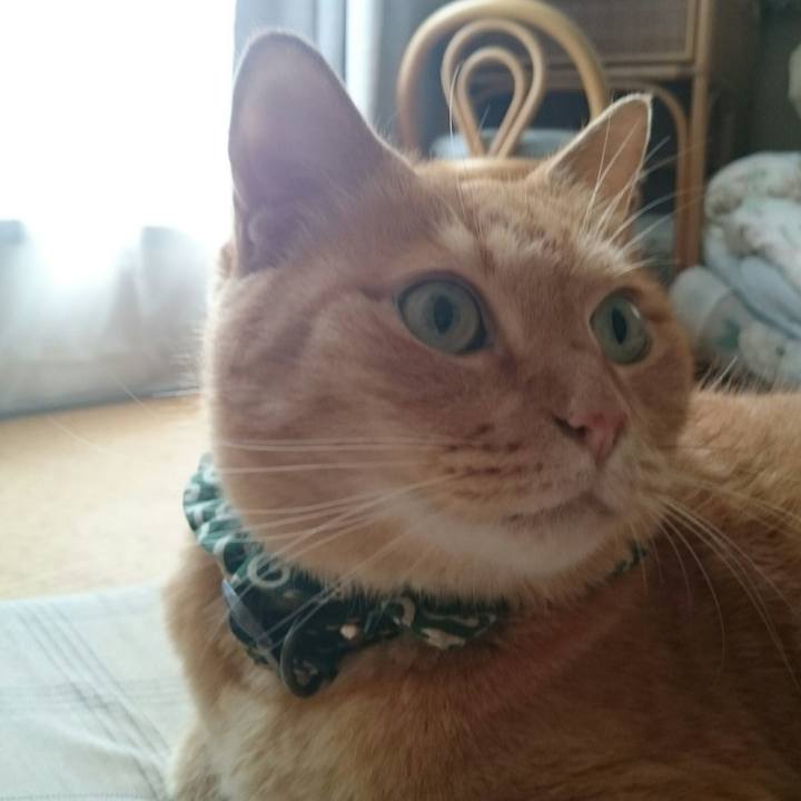 0f7392fd cf3d 4adc b666 c9d1de4c2aab