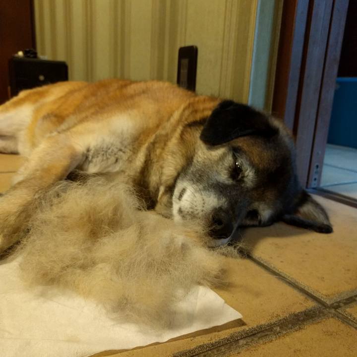 0f73a9c0 ac48 40d4 bf91 28941888d02b