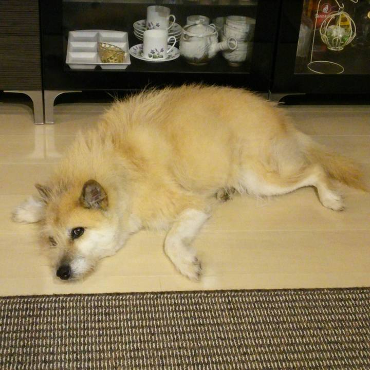 0f740ca5 faa5 4fd5 b8e2 11d7a897ff5a