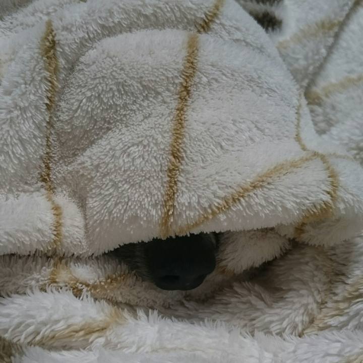 0f7422cd 06c2 40aa a891 0e844de50951