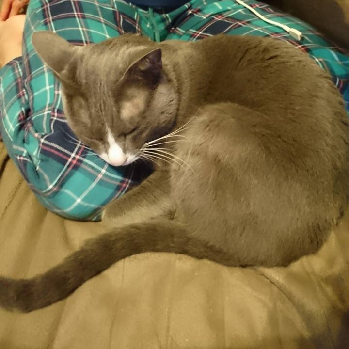 0f743ff2 2524 4a90 9403 d382ce4ce56a