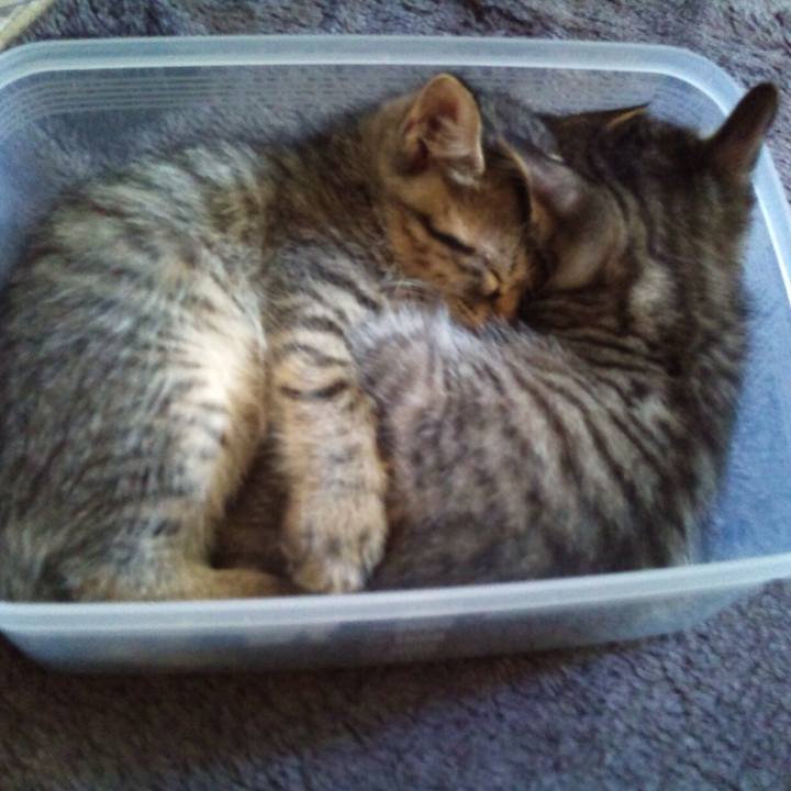 0f7479d6 5687 4912 8655 45bb48aa9e84