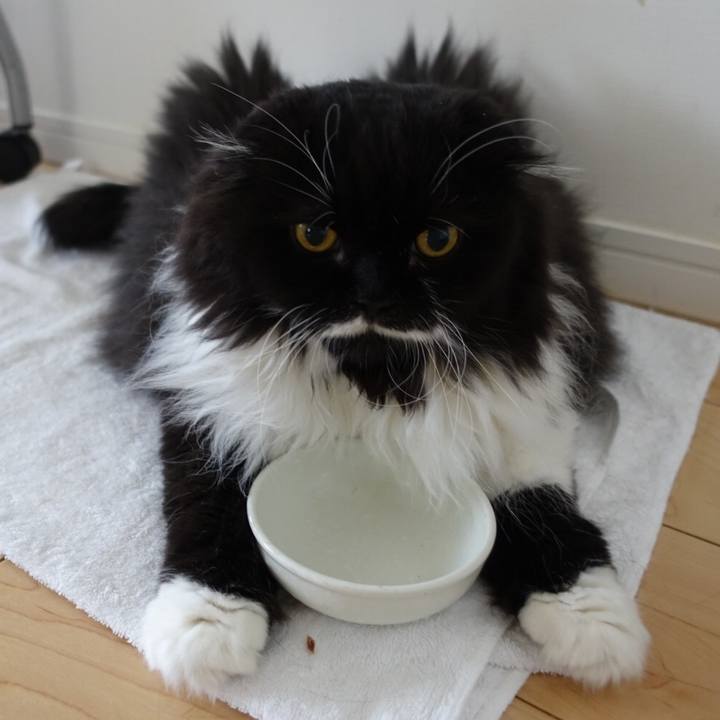 0f74eff0 fc96 452c a777 431602460d5a