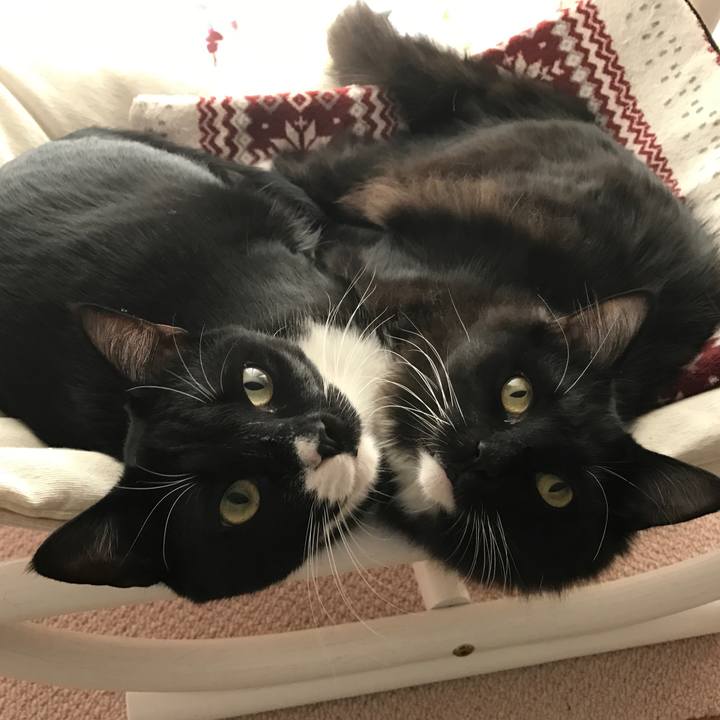 0f753d54 535e 4ab4 9460 ee6396ec9ad6