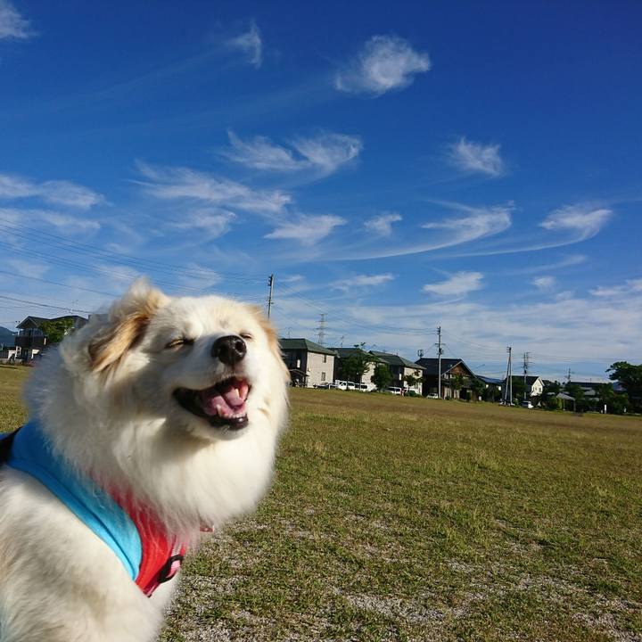 0f75abef 2be8 411e b732 e86ead60144f