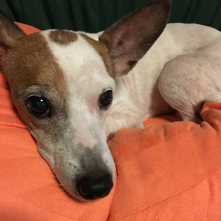 0f75e0fa b390 45f9 9428 6bf00f4bd51a