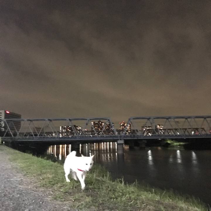 0f76bb4d d2e5 48ee a55a ff3290bb3df7