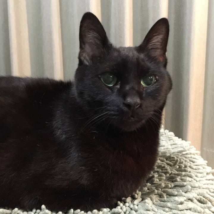 0f76bcf1 d2b4 4adc 80fe dfce846cfb27